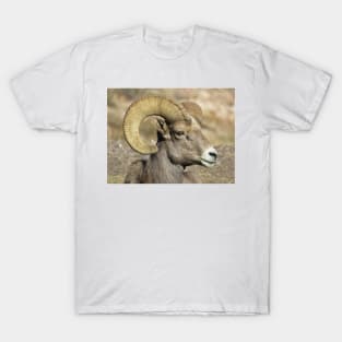 Male bighorn sheep T-Shirt